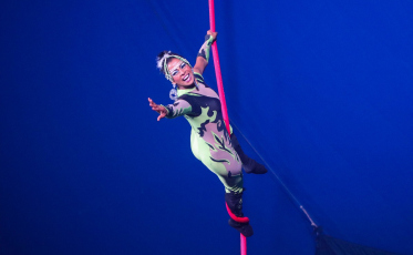 Primeiro circo aquático do Brasil estreia no Criciúma Shopping