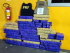 Polícia prende quadrilha com 445 quilos de maconha na BR-101