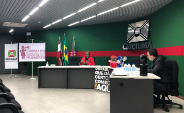 Conselho dos Direitos das Mulheres se reúne com promotor de Justiça no Paço Municipal