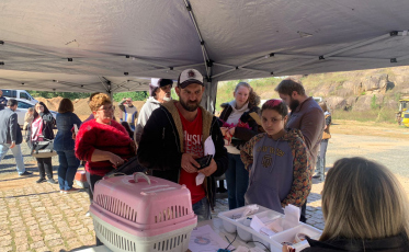 Mutirão castra 110 animais em Urussanga