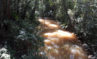 Criciúma: Diretoria de Meio Ambiente atualiza mapeamento de nascentes do município  