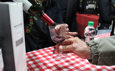 Festival Vino e Formaggio: Dicas para aproveitar ao máximo um festival enogastronômico