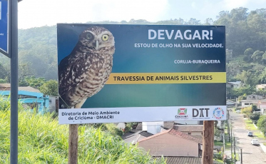 Diretoria de Meio Ambiente realiza ações para prevenir atropelamentos de animais silvestres 