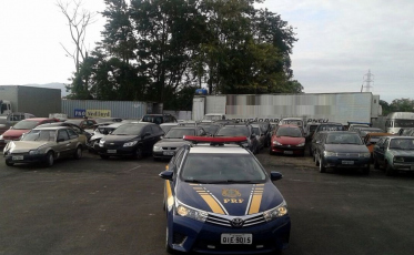 Quase 290 veículos apreendidos em SC serão leiloados