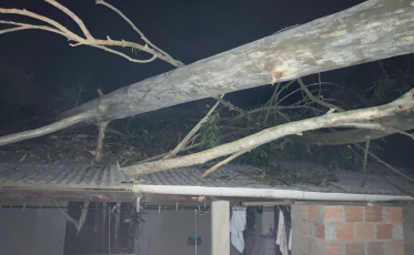 Homem fica gravemente ferido ao ser atingido por árvore em Pescaria Brava