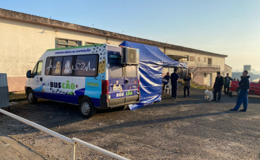 BusCão castra 27 animais no bairro Vila Nova