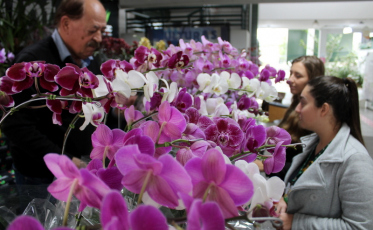 Unesc ainda mais colorida com a realização da ação Primavera e Paz
