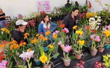 Sucesso marca a 1ª Exposição de Orquídeas de Urussanga