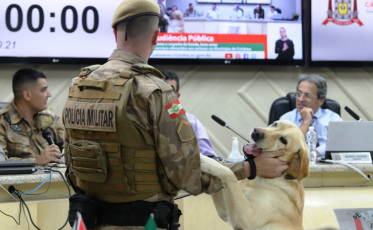 Legislativo de Criciúma define encaminhamentos em prol da causa animal 