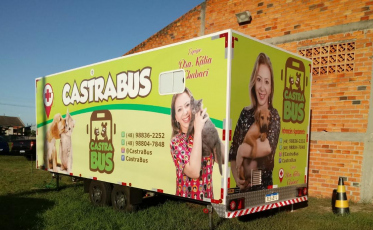 Último mutirão de castração do ano acontece neste mês em Balneário Arroio do Silva