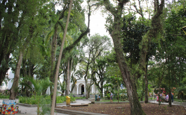 Luta contra a Violência a Mulher: Ação de conscientização acontece em Criciúma