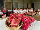 Colônia de férias de Içara leva alunos à plantação de pitaya