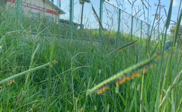 Vereadora solicita melhorias em escolas e ruas de comunidades de Criciúma