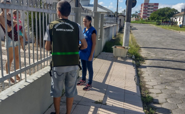 Morro da Fumaça: Vigilância Sanitária alerta moradores sobre perigo do caramujo africano