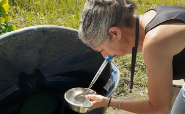 Morro da Fumaça tem primeiro foco do mosquito da dengue identificado