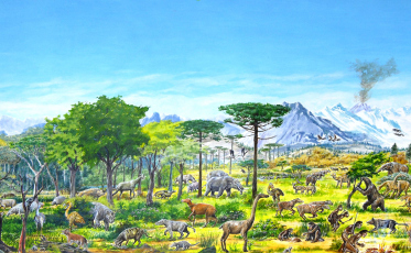 Exposição apresenta transformação da vida animal ao longo dos tempos geológicos