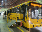 Vereadora solicita ampliação de horários de ônibus em Criciúma