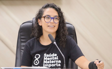 Audiência Pública reforça preocupação com a Saúde Mental Materna