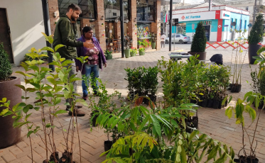 No dia Mundial do Meio Ambiente, Fundave tem programação na praça