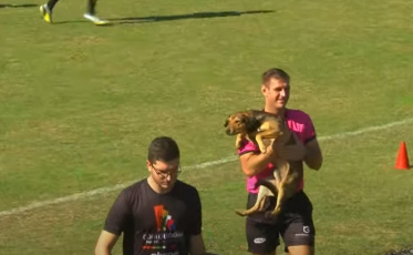 Cachorro invade partida do Criciúma na Copa Criciúma Sub-17 (FOTOS E VÍDEO)