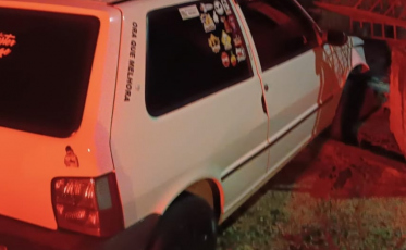 Aves silvestres são encontradas dentro de veículo em Criciúma