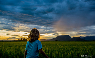 Secretaria de Cultura e Senar promovem curso de turismo rural