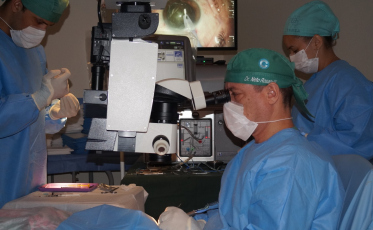 Sul soma mais de 10 mil cirurgias 