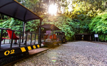 Viva Criciúma: prefeitura desenvolve site informativo com principais pontos turísticos da cidade