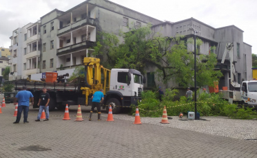 Equipes removem árvore caída na praça Nereu Ramos, em Criciúma