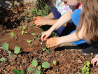 Estudantes da rede municipal de Criciúma cultivam hortas em busca de um futuro mais sustentável
