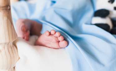 A cada nascimento, Hospital São José promove o plantio de uma árvore