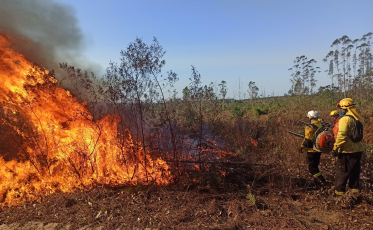 Bombeiros de Criciúma auxiliarão no combate aos incêndios no Mato Grosso do Sul