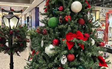 Árvore Solidária do Nações Shopping arrecada doações para pets