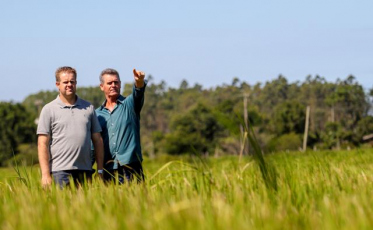 R$ 8,2 bilhões em crédito rural no primeiro quadrimestre de 2019