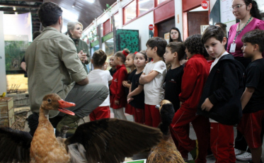 Unesc oferece atividades culturais e educativas na Semana Nacional de Museus