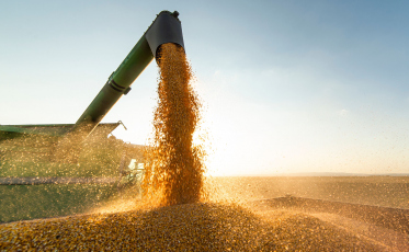 Agronegócio brasileiro bate recorde de receita com exportações, mas problemas persistem