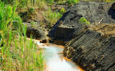 Dia da Terra: data clama para que população invista no planeta, preservando a natureza