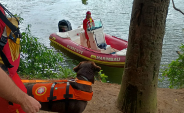 Bombeiros intensificam buscas por jovem desaparecido no Rio Araranguá