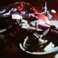 Motociclista morre em acidente na SC-285