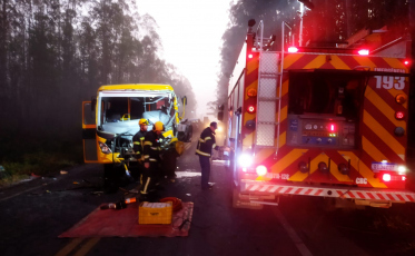 Após acidente, trânsito na SC-446 flui em meia pista