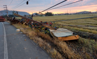 O acidente do caminhão de bananas que disparou dois alertas