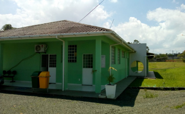 3 mil animais de rua são castrados em Criciúma