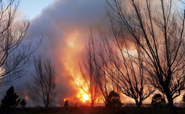 Incêndios em vegetação crescem em Criciúma; bombeiros fazem apelo (VÍDEO)
