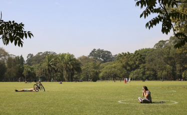 Plataformas orientam eleitores e prefeitos sobre agenda ambiental