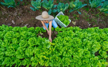 Secretaria da Agricultura amplia em R$ 2,5 mi o crédito para agricultores e pescadores