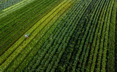 Governo do Estado investe R$ 36,9 milhões em apoio ao setor agropecuário catarinense