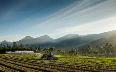 Agro catarinense fecha 2024 com R$ 63,7 bilhões e exportações recordes