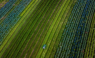 Estado investe mais de R$ 330 milhões no fortalecimento do agronegócio em 2021
