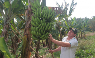 Sebrae cria ecossistema em municípios do Sul de SC para impulsionar agricultura familiar