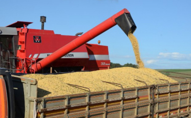 Agronegócio responde por 72% das exportações catarinenses no semestre